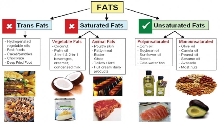 does-eating-fats-make-you-fat